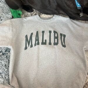 Brandy Melville Gray Malibu Crew Neck Sweater